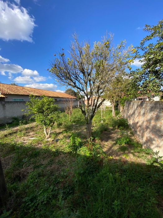 Terreno - Venda - Maria Antonieta - Pinhais - PR