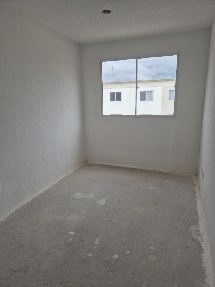 Apartamento - Venda - Jardim Claudia - Pinhais - PR